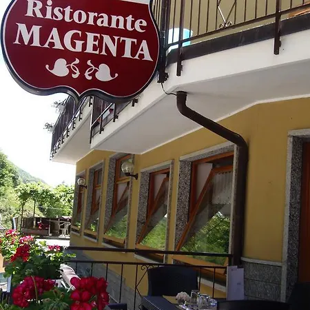Magenta